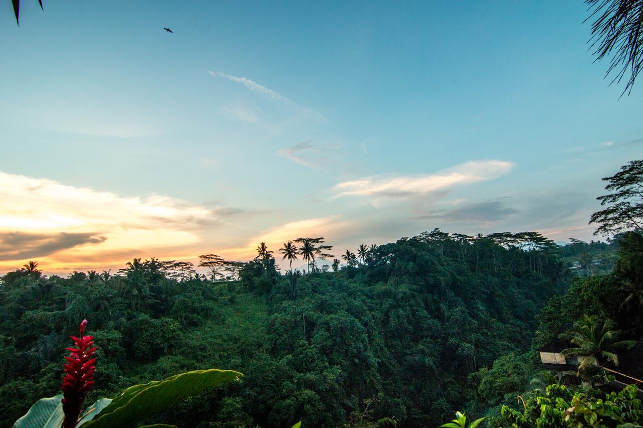 Bidadari Private & Retreat Ubud