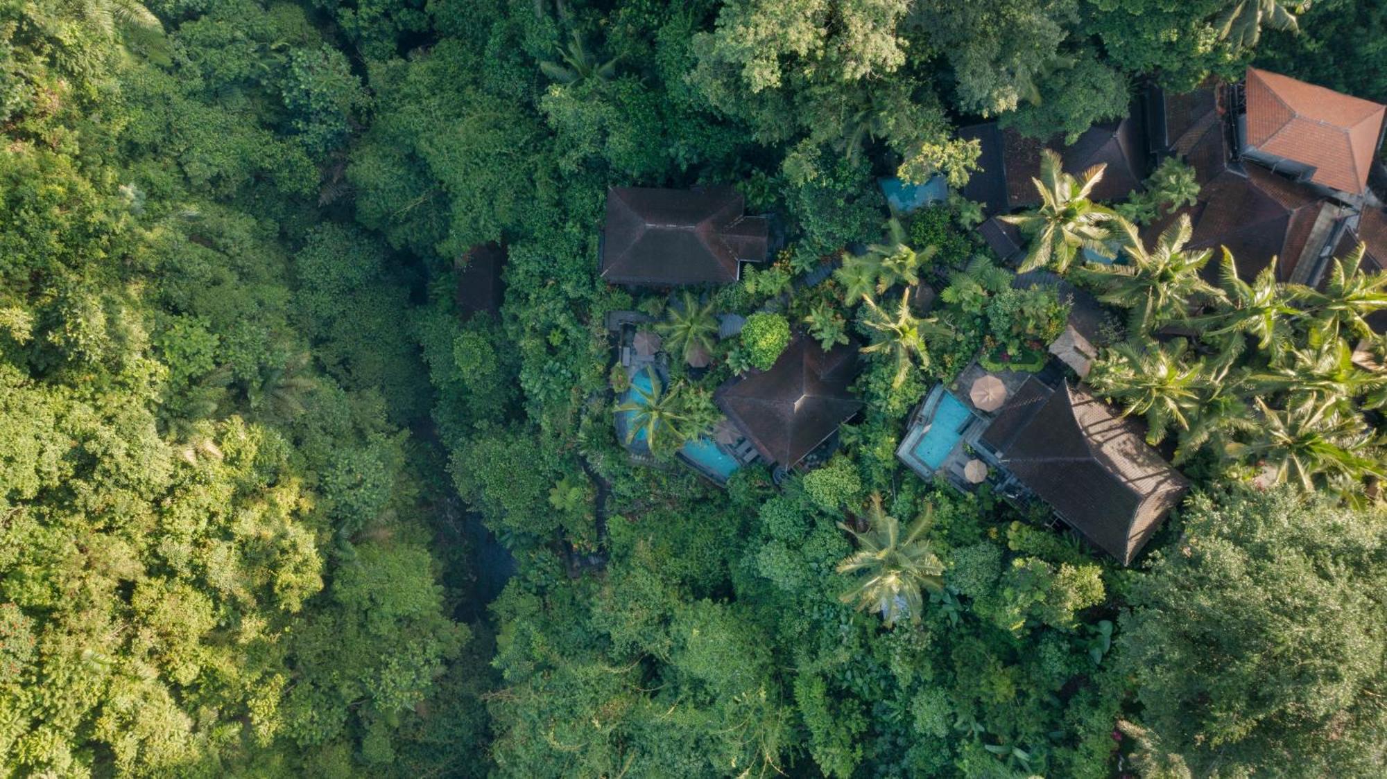 Bidadari Private & Retreat Villa
